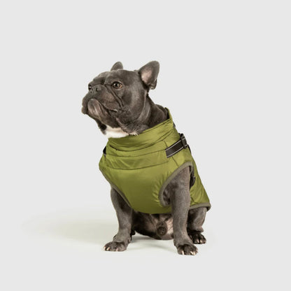 DoggyKings™ 3-in-1 koiran takki