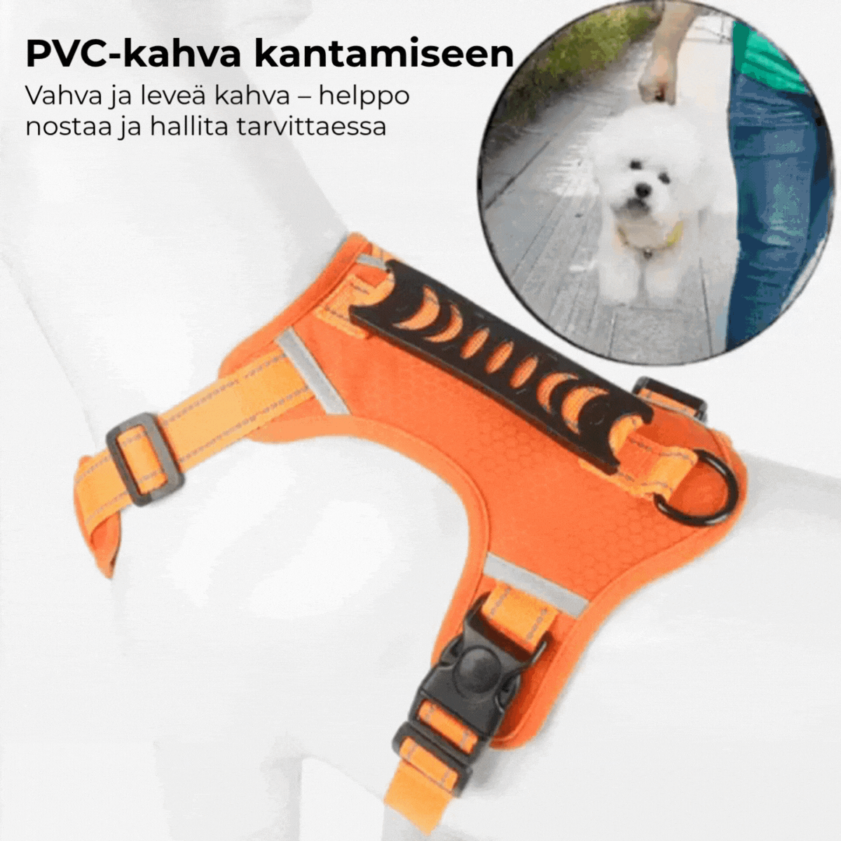Vedonestovaljaat koiralle