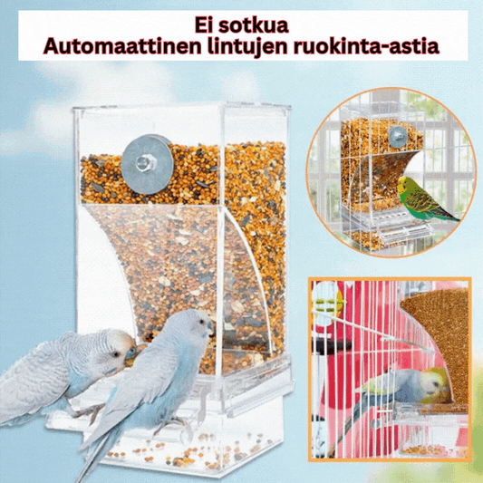 🔥 Lintujen ruokinta-automaatti
