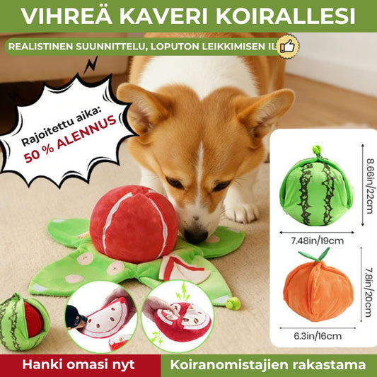 Hedelmäaiheinen aktivointilelu koirille