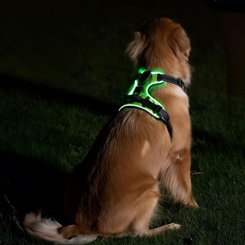 PawGear LED -valovaljaat – Heijastavat ja valaisevat koiranvaljaat