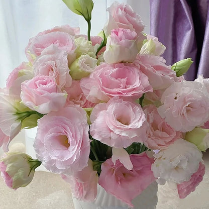 Eustoman siemenet (100 kpl) 💐 Lisianthus