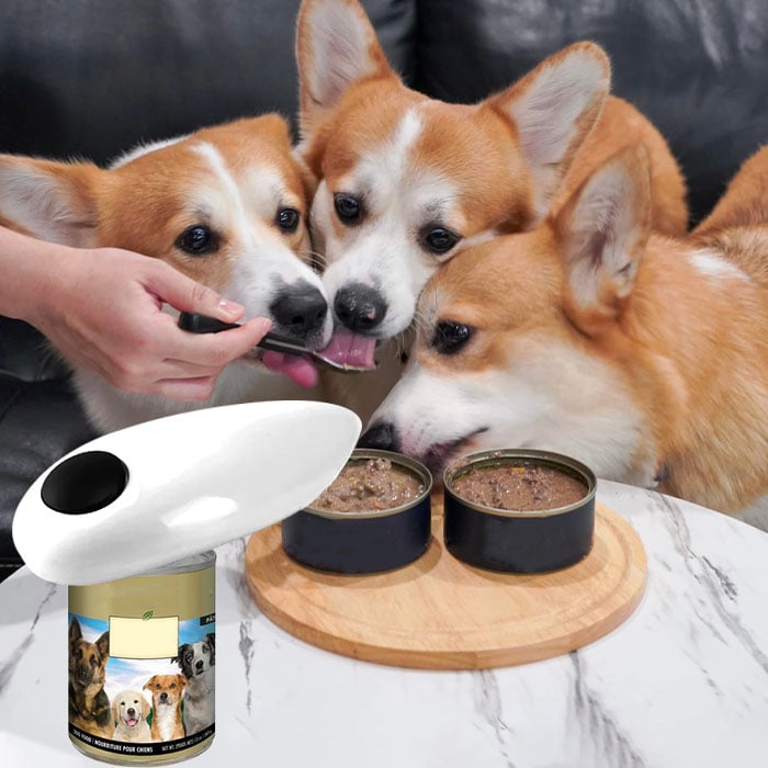 🔥 Automaattinen purkinavaaja