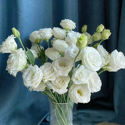 Eustoman siemenet (100 kpl) 💐 Lisianthus