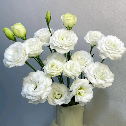 Eustoman siemenet (100 kpl) 💐 Lisianthus