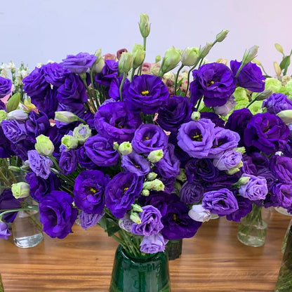 Eustoman siemenet (100 kpl) 💐 Lisianthus