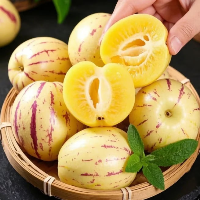 Pepino-melonin siemensekoitus (1000 kpl)