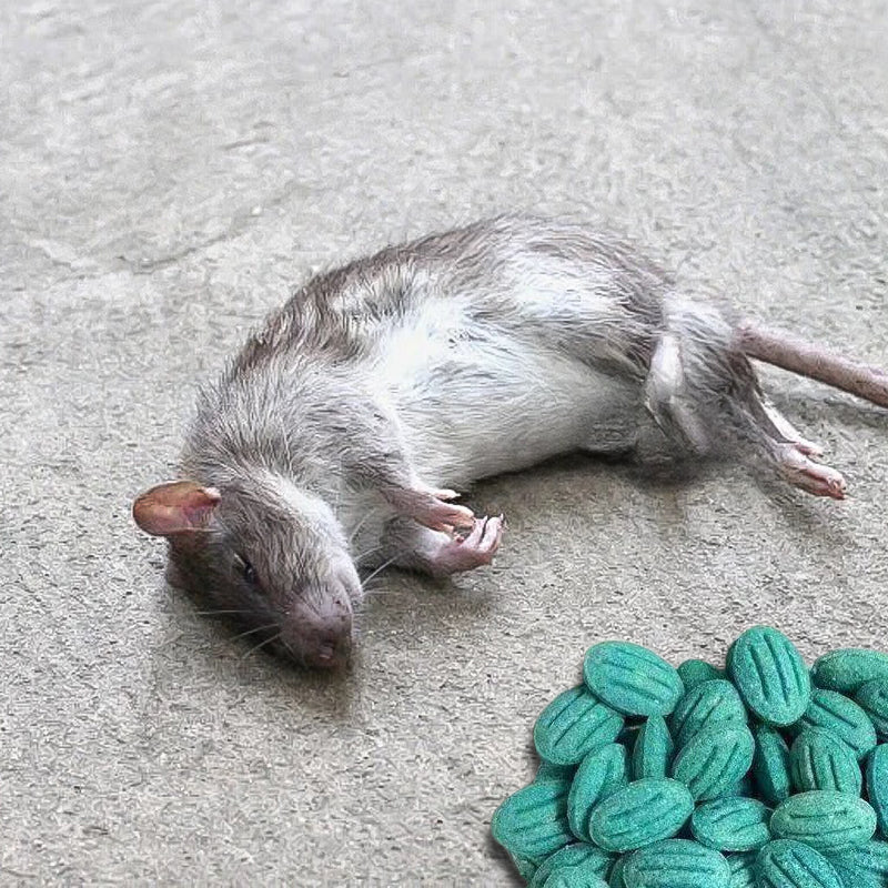 Tehokas jyrsijämyrkky