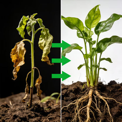 Soil Pro Activator – maaperänparannusaine kasvien hyvinvointiin