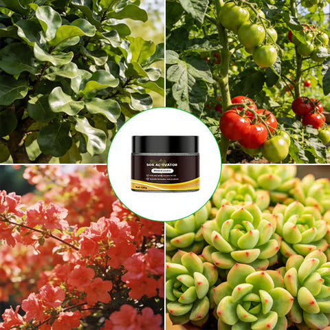 Soil Pro Activator – maaperänparannusaine kasvien hyvinvointiin